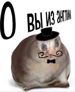 🎩