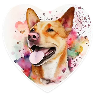 💞