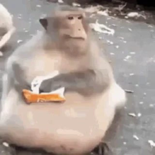 🤒