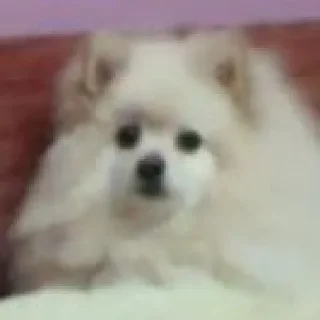 🙂