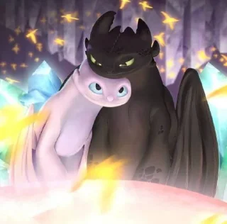 🌟