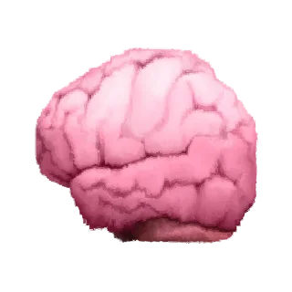 🧠