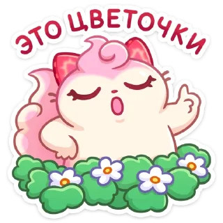 🌼
