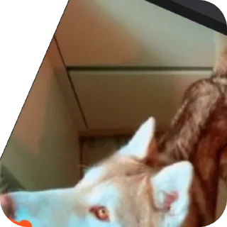 👍