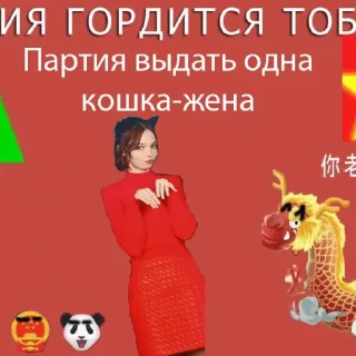 🇨🇳