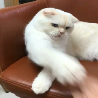 😒