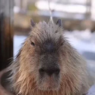 😐