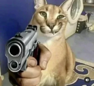 🔫