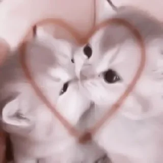 ❤️