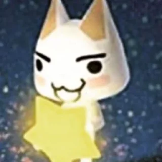 🌟