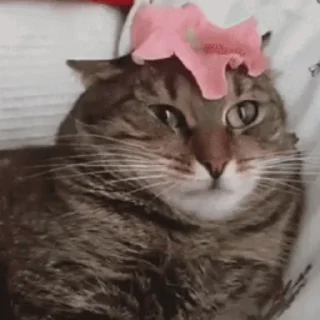 😑