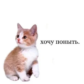 🥲