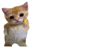 🐈