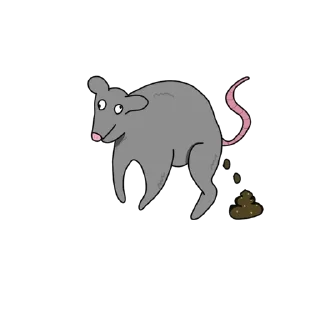💩