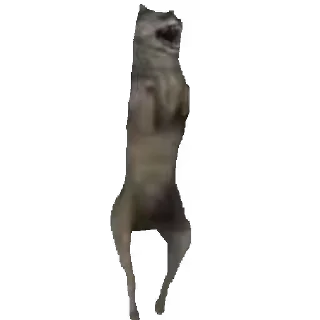 🕺