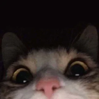 😧