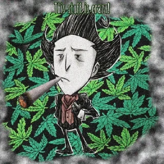 🌿