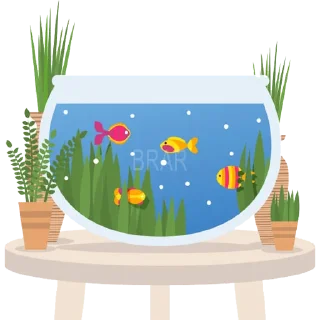 🐠