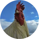 🐔