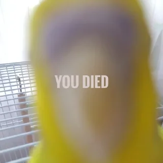 😵