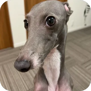 🤨