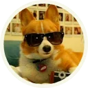 😎
