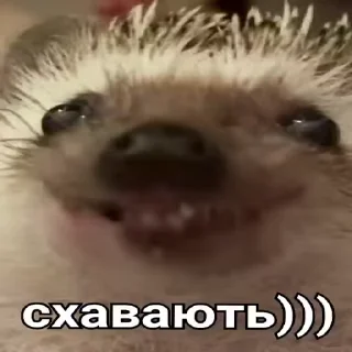 😋