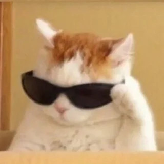 😎