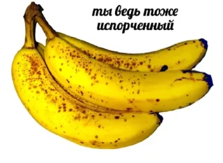 😋