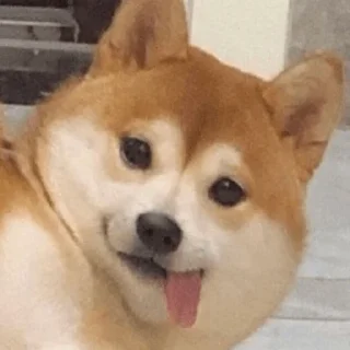 😋