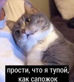 🤕