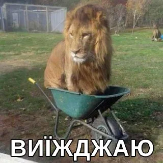 🏃