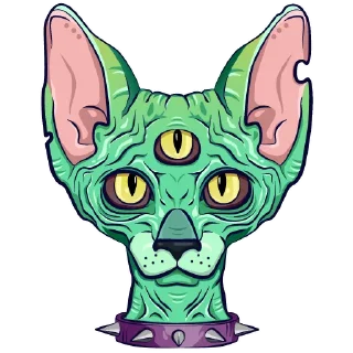 🐱