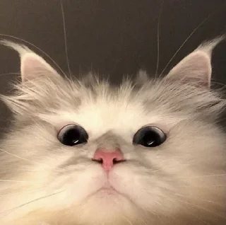 😐