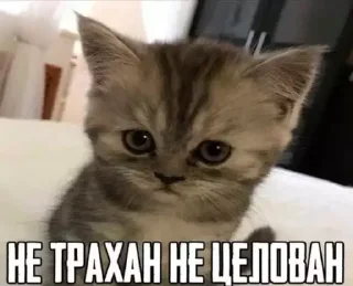 🥺
