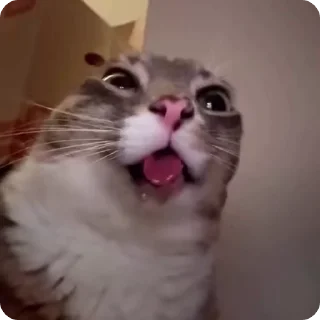 🤱