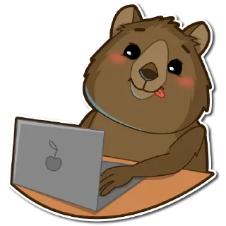 💻