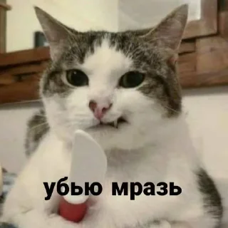 🥄