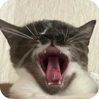 🤯