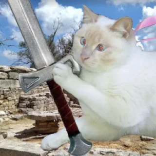 ⚔️
