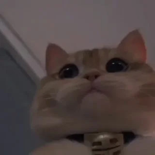 💗