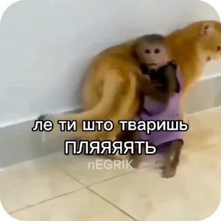 🌟