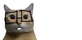 🤓