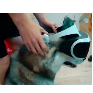 ✋