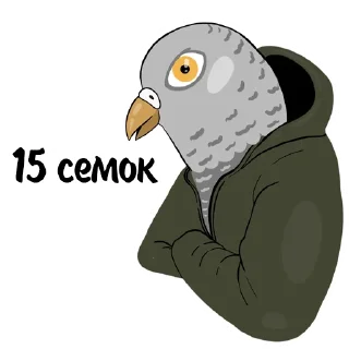 🐦