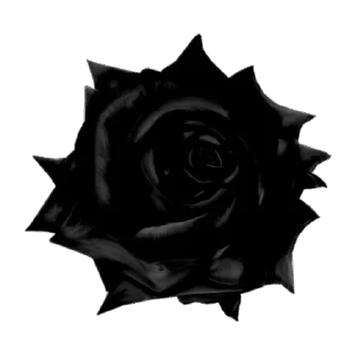 🌹