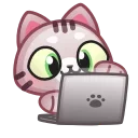 🧑‍💻