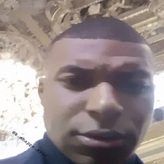 🐢