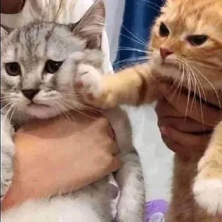 🤛