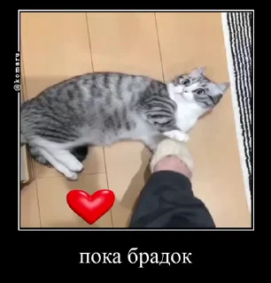 😢